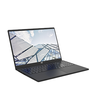Ноутбук Raybook Si1670