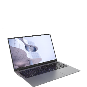 Ноутбук Raybook S1620 G1R