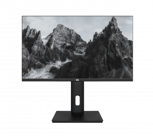 Монитор ViewRay ICL 2419IFH