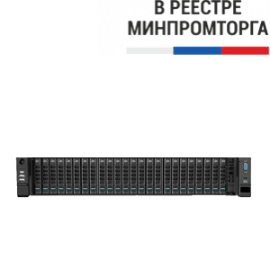 Сервер teamRAY R2224XG4-R