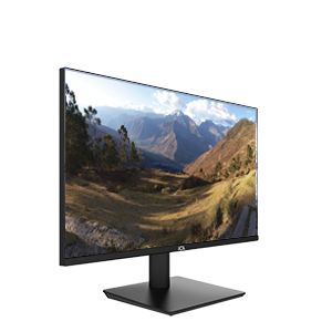 Монитор ViewRay 2419IFH